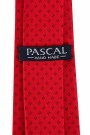 Pascal juleslips thumbnail